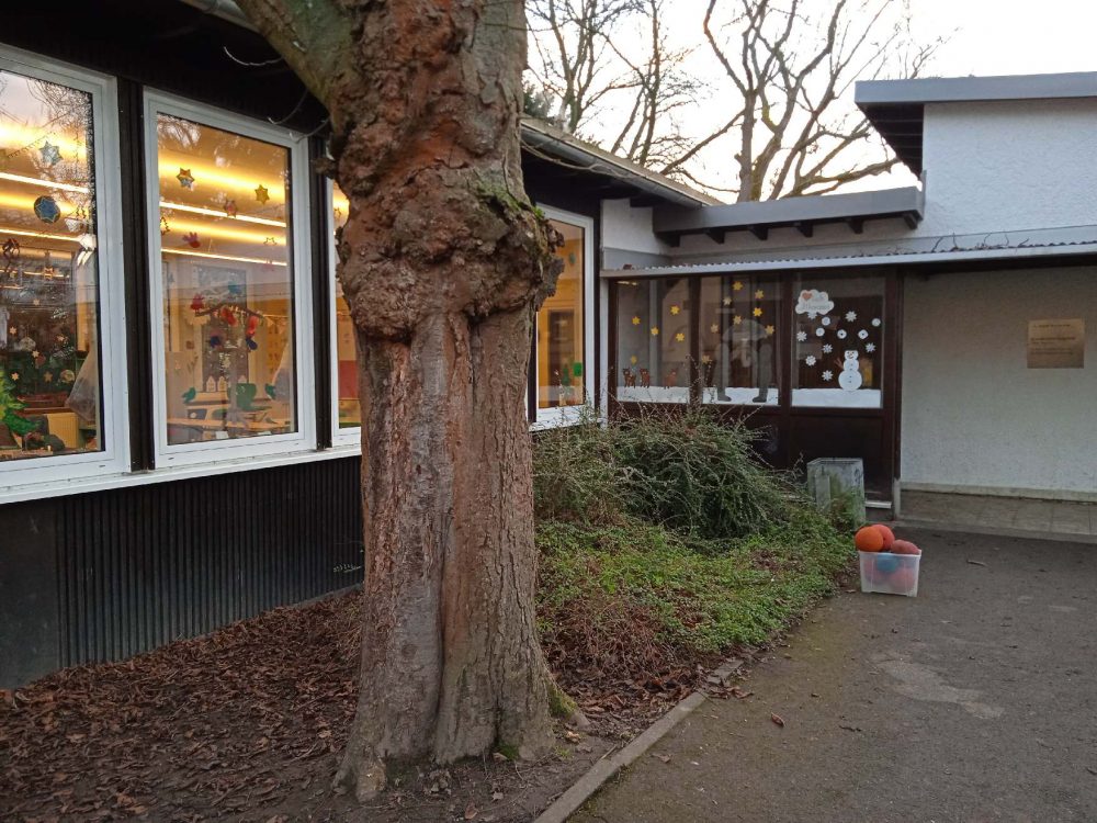 IMG_20251217_155446 (1)