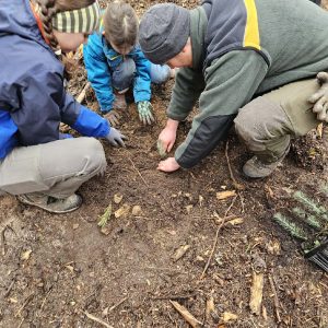 Baumpflanzaktion mit dem Projekt „Klima Neutrale Schule“
