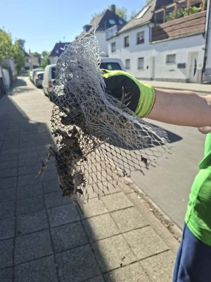 6c65671769461ea4-threema-20260429-124055380 (1)