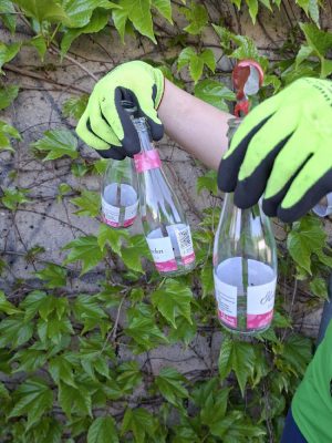 f36e0c552498dbfe-threema-20260429-124056097 (1)