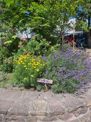 IMG-20260618-WA0002 (1)