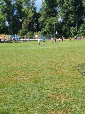20260703_111954 (1)