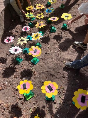 Solarblumen